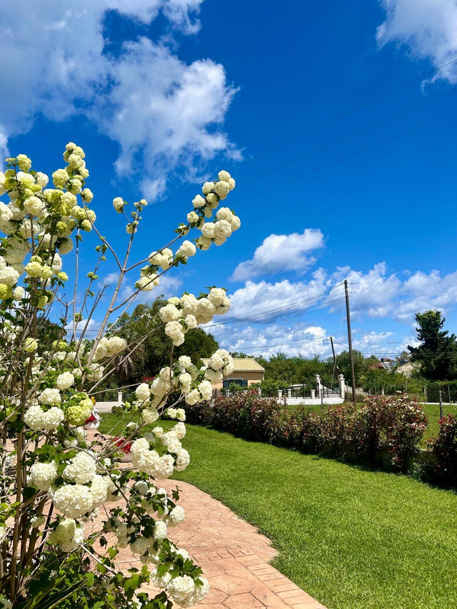 Villa Sandra Litheres Екстер'єр фото